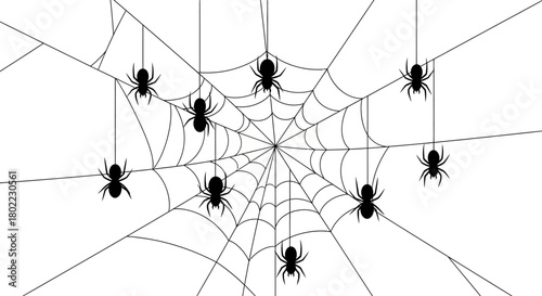 Spiders hang from a detailed spiderweb against a white background.