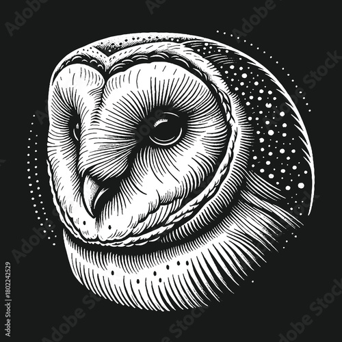 Detailed Owl Portrait in Black and White.