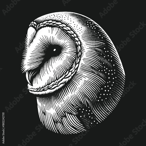 Detailed Owl Portrait in Black and White.
