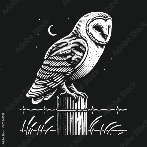 Owl Perched on Post Under Night Sky.