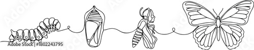 metamorphosis of a caterpillar into a butterfly