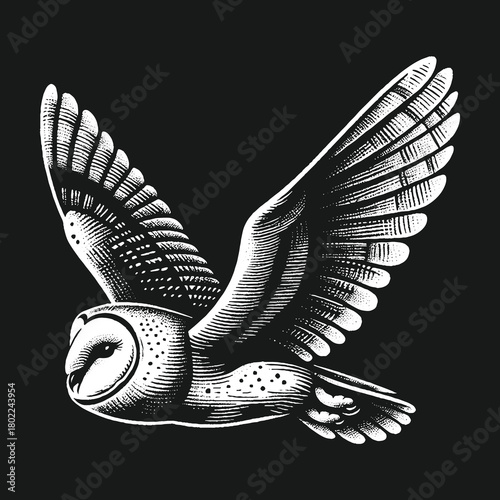 Elegant Barn Owl in Flight Against a Dark Background.