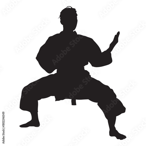 Martial Arts Pose Silhouette