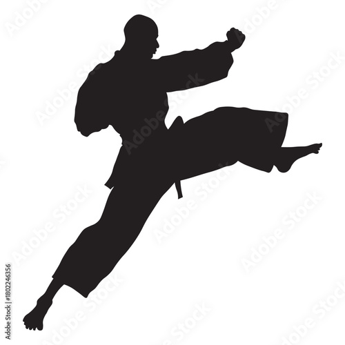 Martial Arts Pose Silhouette