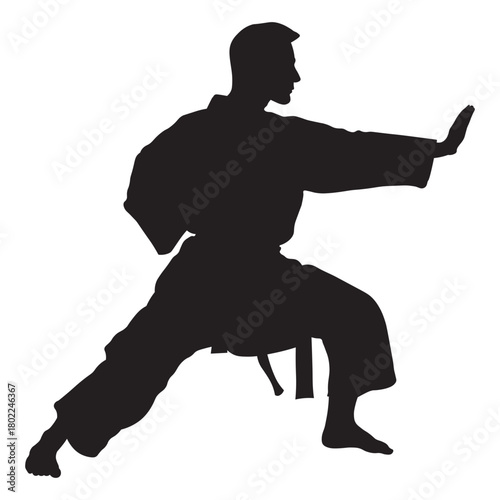 Martial Arts Pose Silhouette