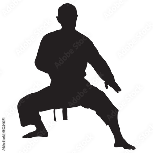 Martial Arts Pose Silhouette