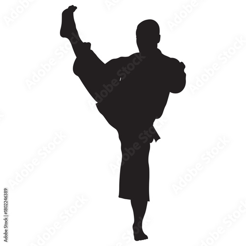 Martial Arts Pose Silhouette