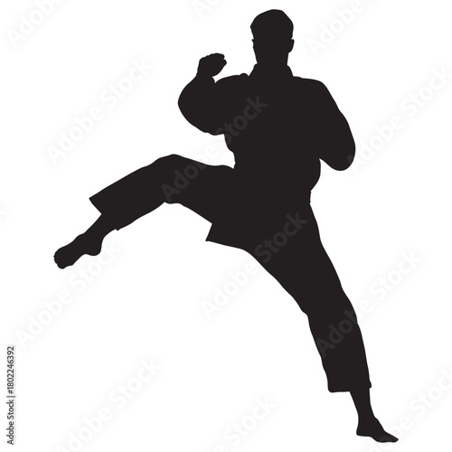 Martial Arts Pose Silhouette