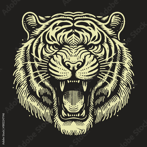 Tiger Head Roaring Aggression Fierce Predator Wildlife Illustration.