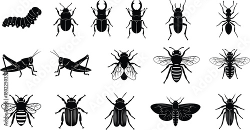 A collection of black silhouettes of various types of insects such as caterpillars, beetles, grasshoppers, flies, bees, ants, and moths on a white background.