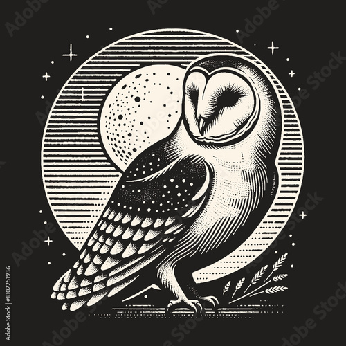 Elegant Owl Silhouette Against Moonlit Night Sky.