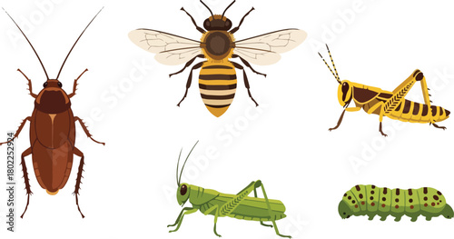 A compilation illustration featuring a variety of insects, each with its own unique characteristics.