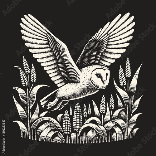 Barn Owl Flight Above Cornfield Illustration Black and White.