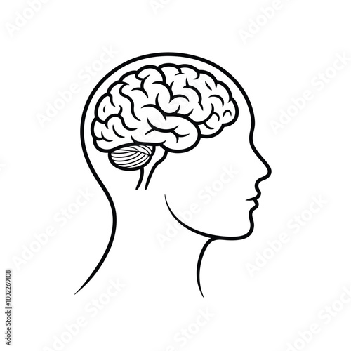 Line drawing of human brain inside profile silhouette