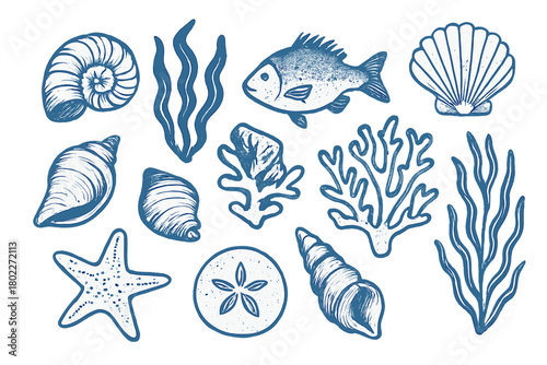 Blue nautical sea life collection featuring shells and coral