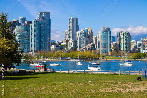 Vancouver Skyline and Modern Waterfront Condominiums Over False Creek arena from Charleson Park