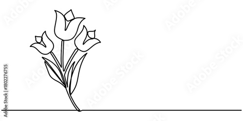 tulip flower continuous one line drawing, Minimalist continuous line drawing a single tulip with stroke Single outline illustration. 