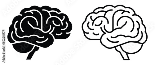 Brain anatomy with outline, black silhouette on transparent