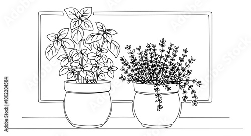 Potted herbs basil and thyme on a windowsill continuous one line drawing Vector illustration of a home kitchen garden for a fresh cooking concept