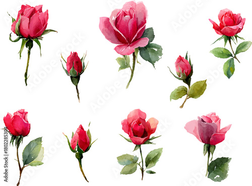 Wallpaper Mural set of pink roses Torontodigital.ca