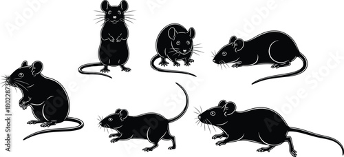Collection of six black mouse silhouettes, rat vector icon set in different poses like standing and walking, isolated rodent pest animal graphics.