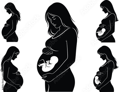 Pregnancy silhouette illustration, expecting mother vector art, maternal health concept design, unborn baby outline graphic, prenatal development artwork, motherhood flat illustration