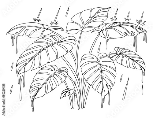 Monstera deliciosa plant in the rain continuous one line drawing Vector illustration of a tropical houseplant with water drops for nature or home decor concept