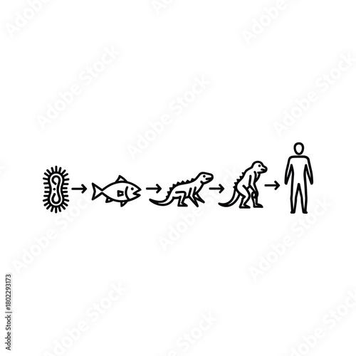 Evolution of life on earth conceptual illustration from simple microorganism to fish, reptile, and human forms