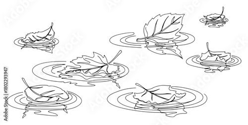 Autumn leaves floating on a water puddle with ripples continuous one line drawing Vector illustration of a melancholic fall season scene