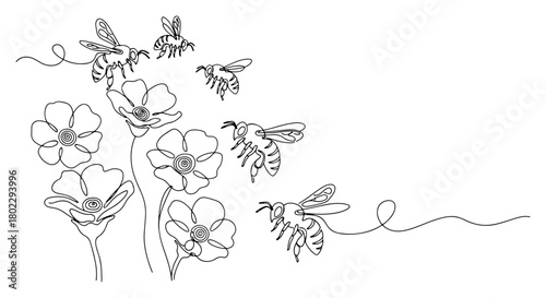 Bees flying around poppy flowers continuous one line drawing Vector illustration of honeybee and wildflowers for a spring nature or honey product concept