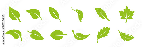 vector green leaf icons set on transparent background
