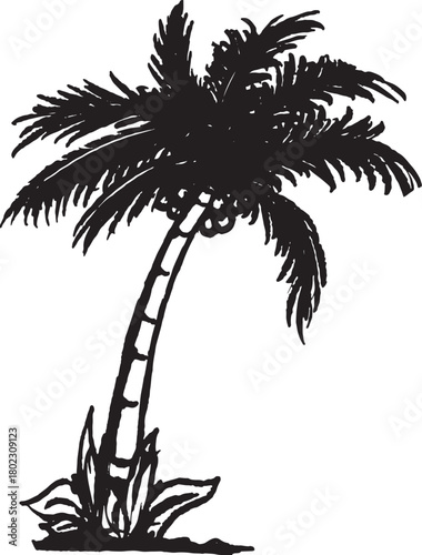 silhouette of palm tree