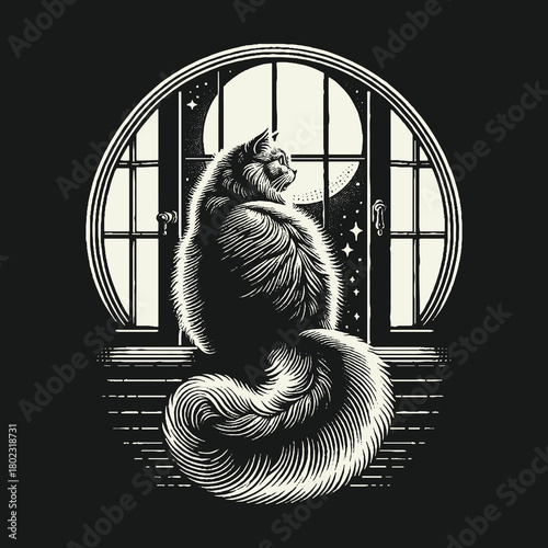 Fluffy Cat Gazing at the Night Sky Through a Window.