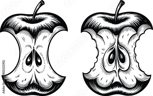 Apple Core Illustration Set.