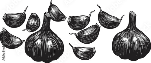 Black and white illustration of whole garlic bulbs and cloves in a scattered arrangement