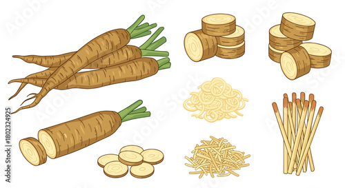 Illustration of parsnip roots in various preparations, including whole, sliced, julienned, and fried forms, showcasing culinary versatility.