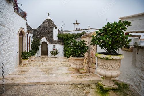 Εκτύπωση καμβά Traditional unique Trulli houses with conical stone roof in Alberobello, Puglia, Italy