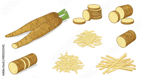 Illustration of salsify root vegetables in various preparations, including whole roots, sliced rounds, and julienned sticks, showcasing culinary uses.