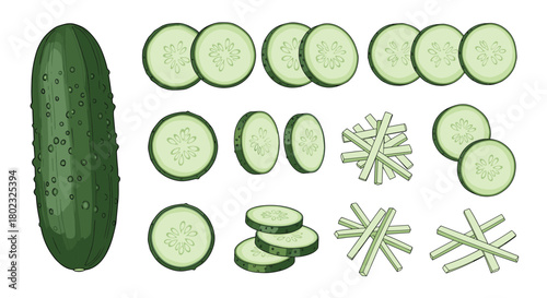 Fresh cucumber and various sliced preparations, including rounds, sticks, and decorative cuts, isolated on a white background.