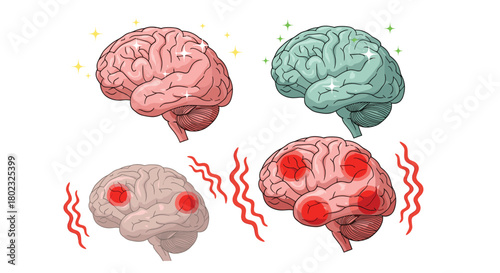 Illustrative depiction of brain states: healthy, calm, injured, and inflamed, showcasing neurological conditions and mental wellbeing concepts.