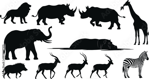 Collection of black silhouette safari animals on a white background lion rhino