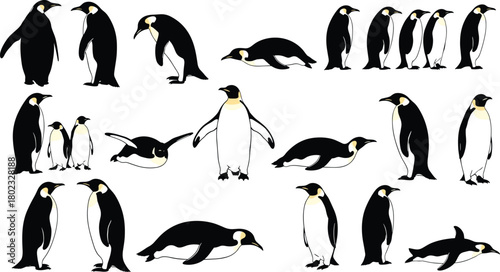 Collection of emperor penguins in various poses on a white background bird animal