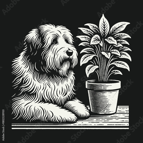 A Charming Shaggy Dog Posing Next to a Potted Houseplant.