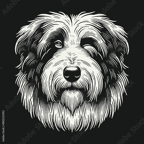 Black and white engraving style portrait of a winking shaggy dog.