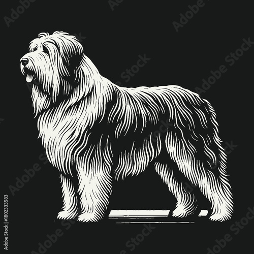 Elegant Briard Dog Standing Profile Illustration.