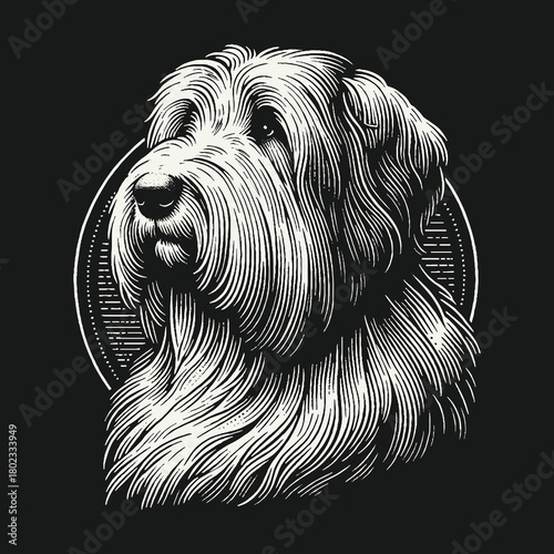Elegant Shaggy Dog Head Portrait in Engraved Style.