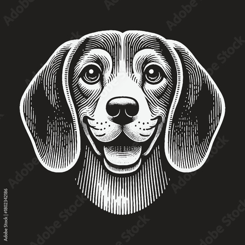 Happy Beagle Dog Portrait Engraving Style Illustration.