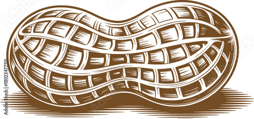 Vintage Peanut Illustration.