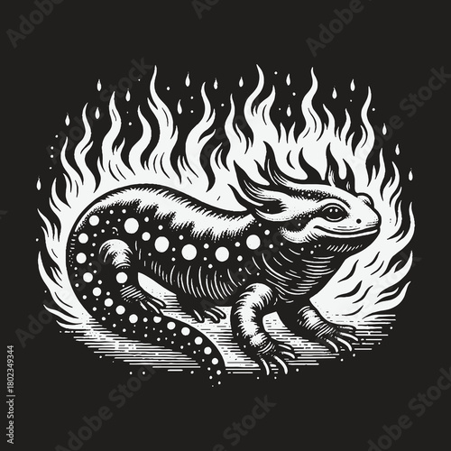 Black and White Mythical Fire Salamander Illustration.