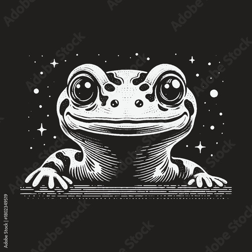 Cute Smiling Frog with Big Eyes in Starry Night Sky.